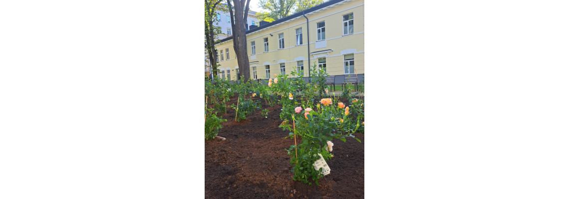 Lahjoituspuutarha NPVC